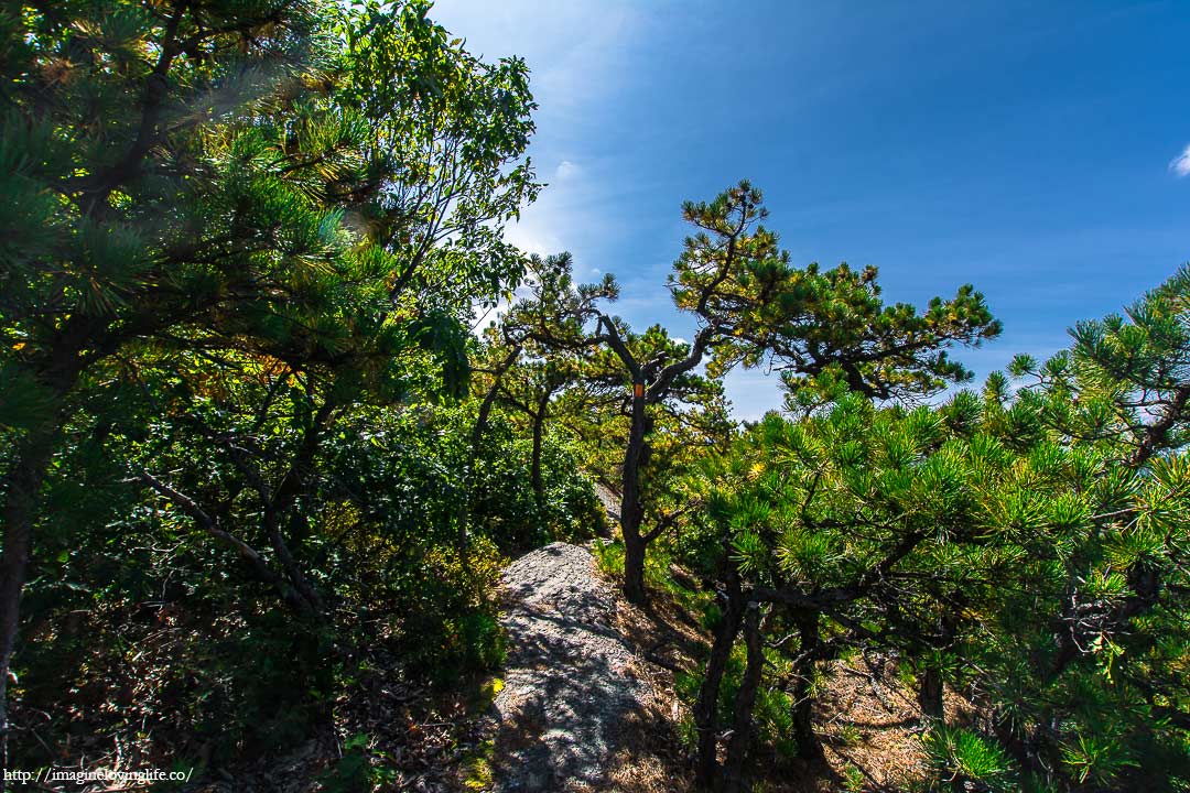 western ridge trail